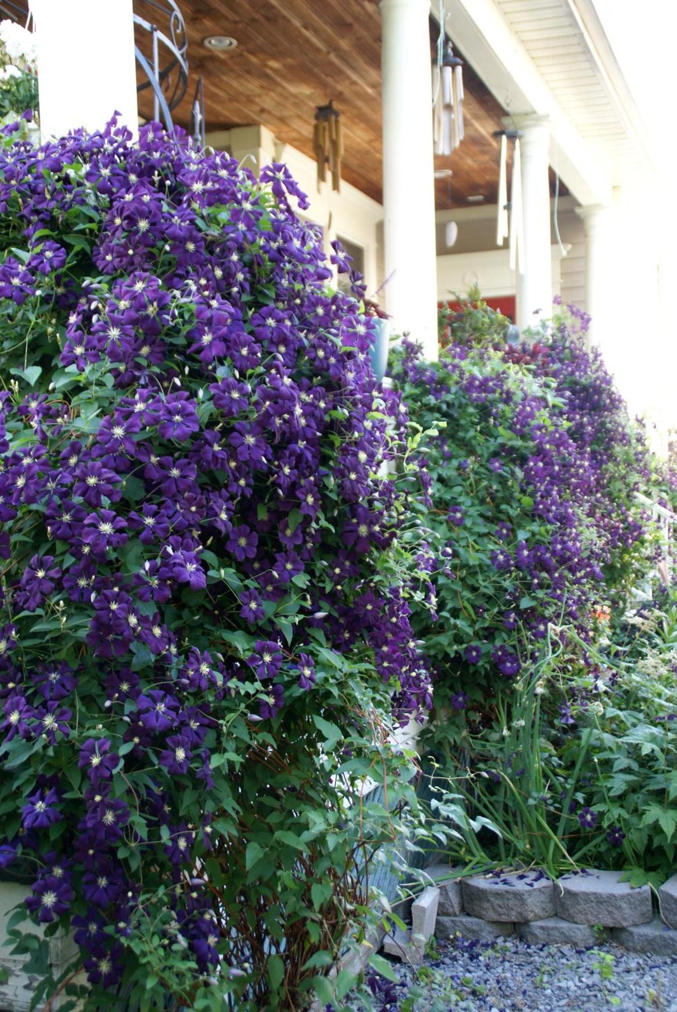 Globetrotters B&B Niagara-on-the-Lake Esterno foto